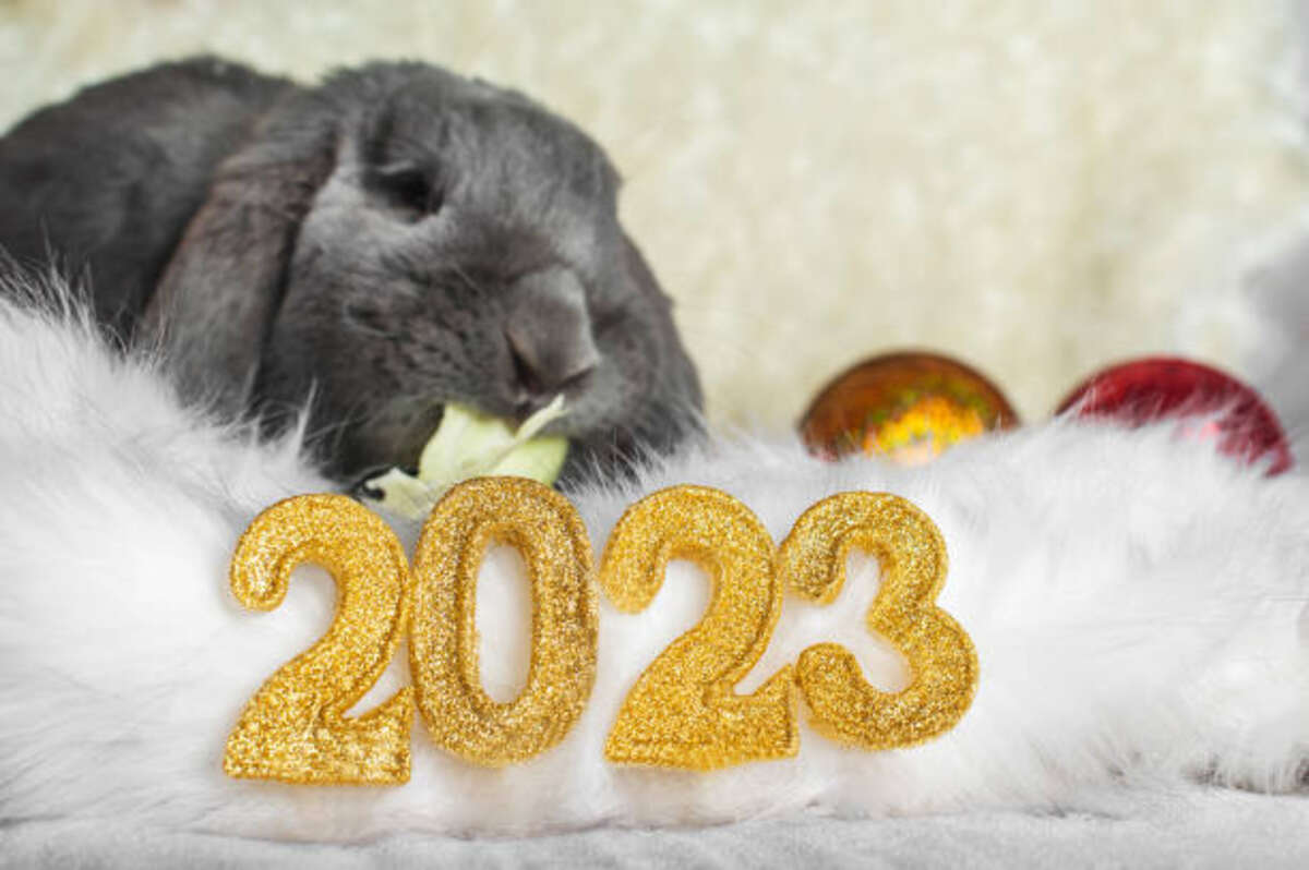 Praise My Pet Calendar 2023