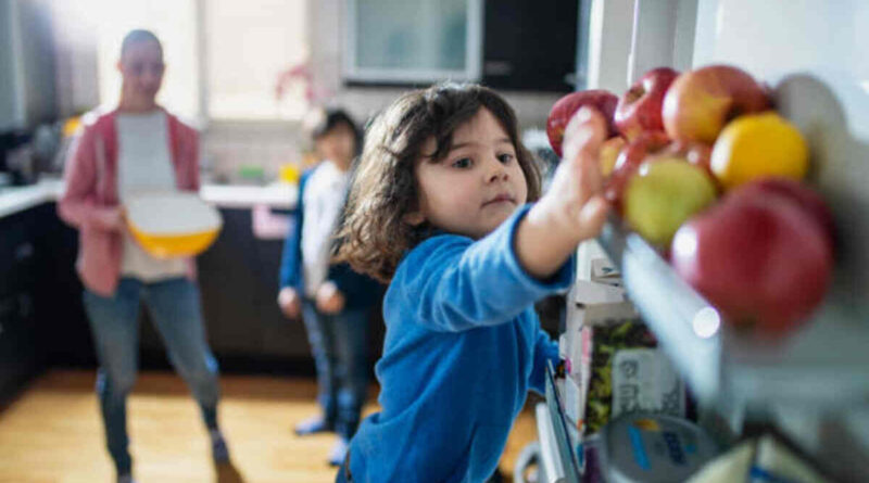 دانلود بت 303